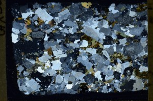 Cross Polarized, S65784