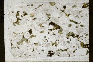 Plane Polarized, S65784