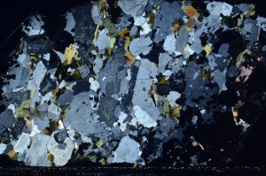 Cross Polarized, S65785