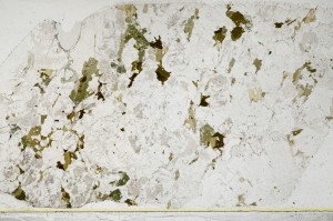 Plane Polarized, S65785