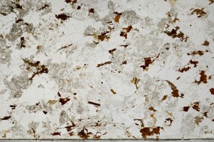 Plane Polarized, S65793