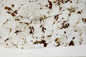 Plane Polarized, S65795