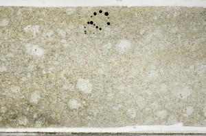 Plane Polarized, S65799