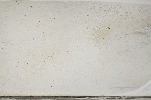 Plane Polarized, S65803