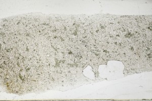 Plane Polarized, S65805