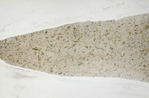 Plane Polarized, S65806