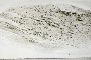 Plane Polarized, S65819