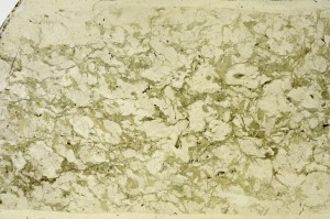 Plane Polarized, S65835