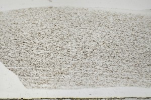 Plane Polarized, S65840