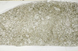 Plane Polarized, S65844
