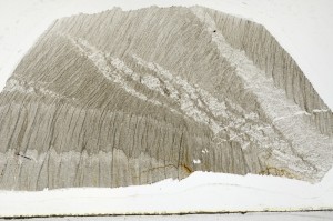 Plane Polarized, S65888