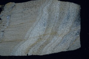 Cross Polarized, S65890