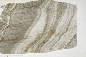 Plane Polarized, S65890