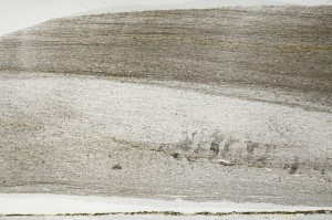 Plane Polarized, S65890/A