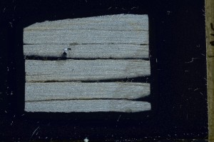 Cross Polarized, S65896