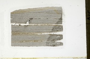 Plane Polarized, S65896