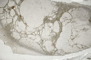 Plane Polarized, S65903/A