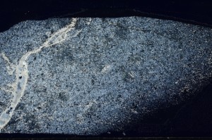 Cross Polarized, S65904
