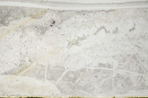 Plane Polarized, S65907
