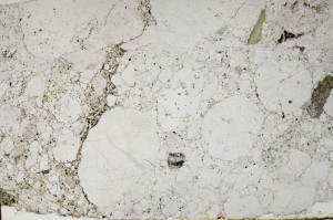 Plane Polarized, S65913