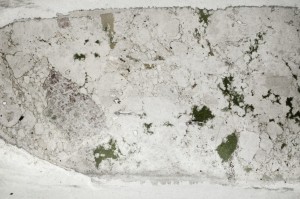 Plane Polarized, S65913/C