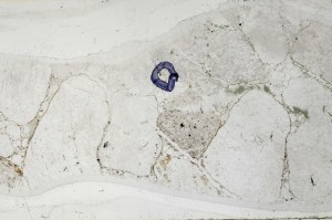 Plane Polarized, S65914