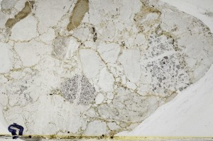 Plane Polarized, S65915