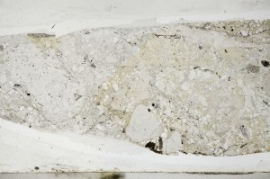 Plane Polarized, S65921