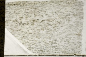 Plane Polarized, S65958