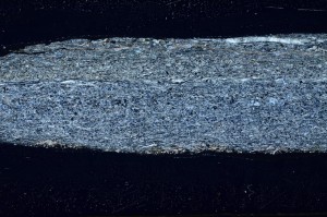 Cross Polarized, S65959