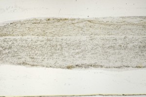 Plane Polarized, S65959