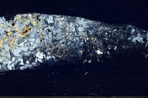 Cross Polarized, S65961