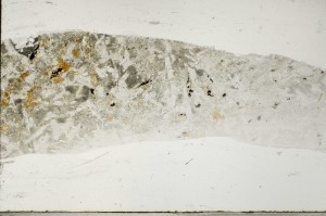 Plane Polarized, S65961