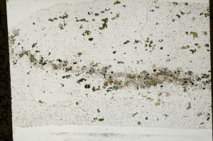 Plane Polarized, S65976