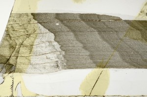 Plane Polarized, S65978