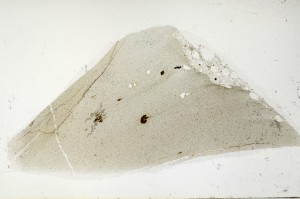 Plane Polarized, S65986/A