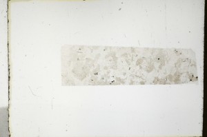 Plane Polarized, S66003