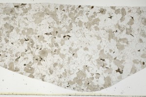 Plane Polarized, S66008/A