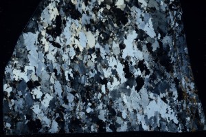 Cross Polarized, S66009