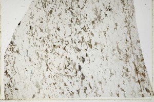 Plane Polarized, S66009