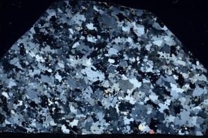 Cross Polarized, S66011/A