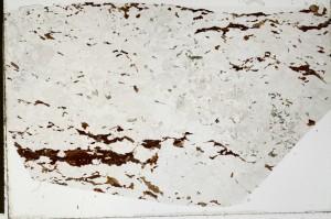 Plane Polarized, S66013