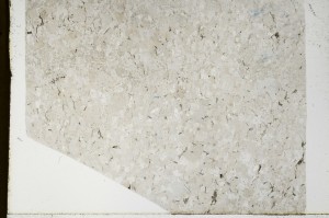 Plane Polarized, S66014