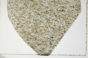 Plane Polarized, S66017