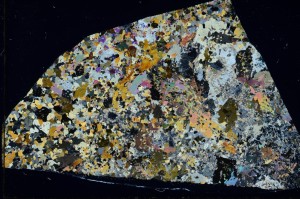 Cross Polarized, S66017/A