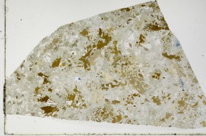 Plane Polarized, S66017/A