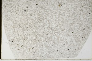 Plane Polarized, S66022