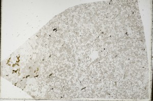 Plane Polarized, S66022/A