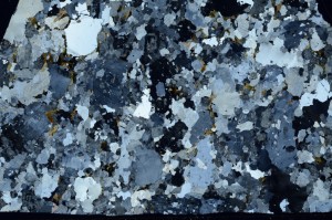 Cross Polarized, S66024