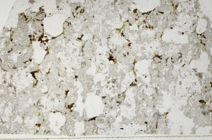 Plane Polarized, S66024